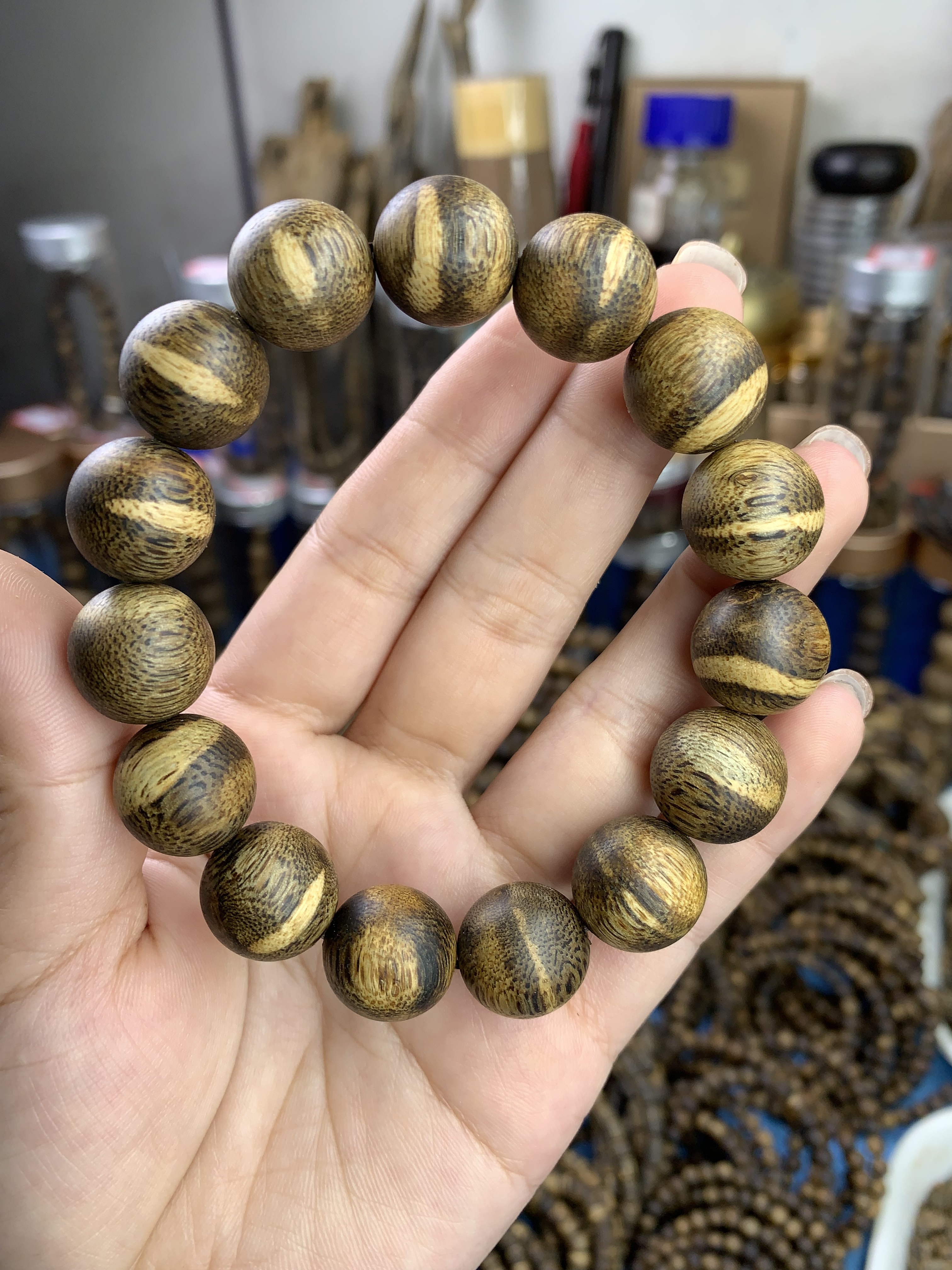 种植虎斑奇楠1.5单圈21克