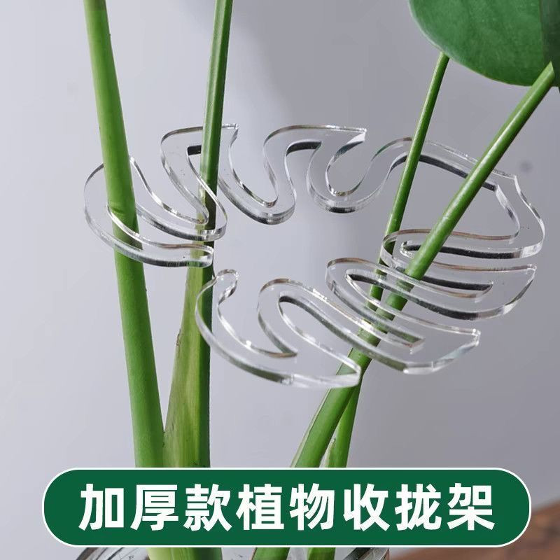 龟背竹支撑杆花支撑架枝干收拢架植物防倒伏支架绿植固定神器花架