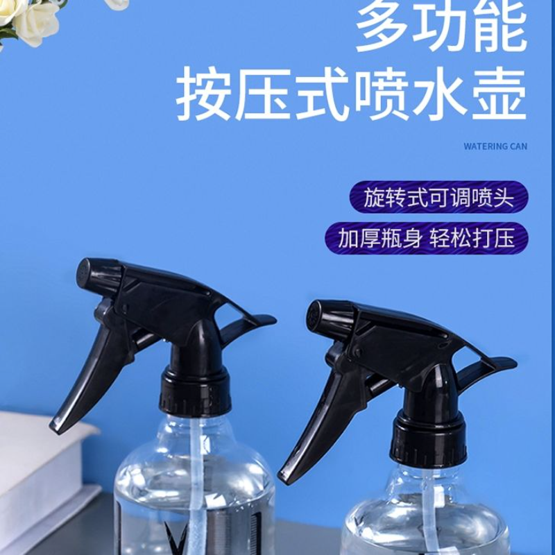 喷壶消毒高压浇水壶园艺喷水壶小型细雾器家用浇花瓶