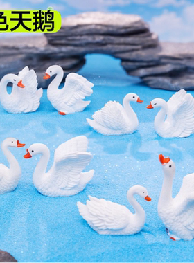 创意树脂多肉微景观摆件情侣天鹅动物盆景小摆件DIY礼品装饰