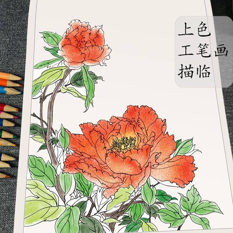 少儿国画入门基础花鸟蔬果动物鱼虫篇临摹教材幼儿童初学画画教材