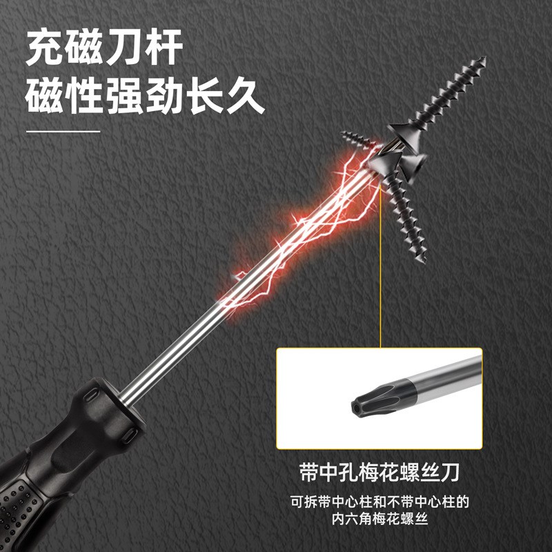 工具DL6d210025T中孔花型螺丝批T25x100mm