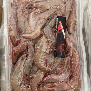 青岛码头直发原浆青岛蛎虾白冲虾鹰爪虾,精挑4斤大规格,无泥无沙