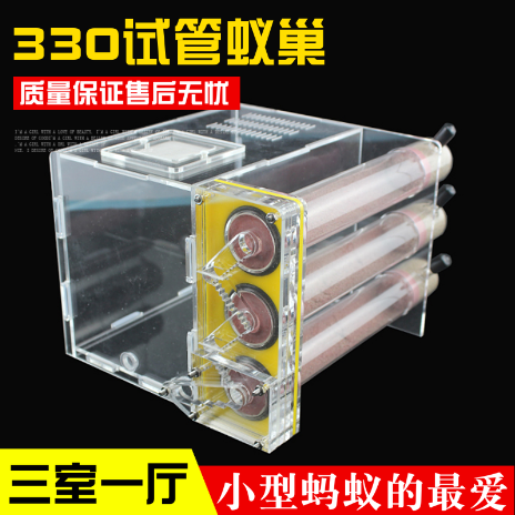 330石膏试管蚁巢热卖中