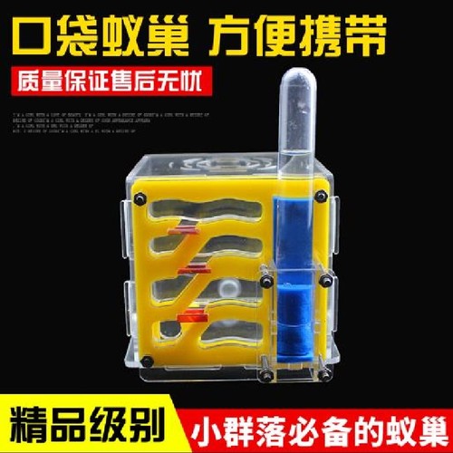 小型亚克力蚁巢热卖中