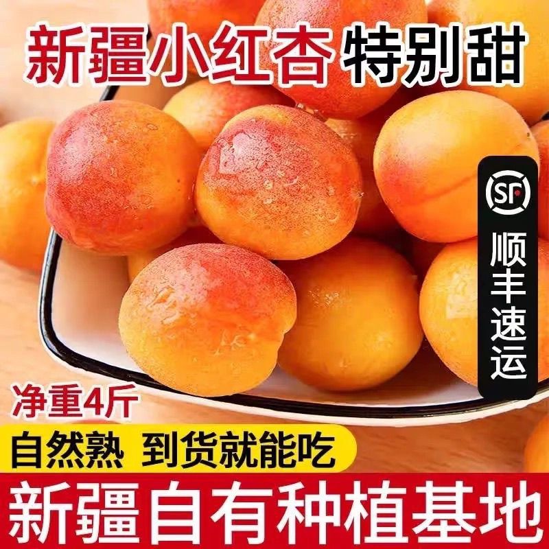 【新疆顺丰直发】正宗新疆小红杏新疆阿克苏吊干杏特产新鲜水果