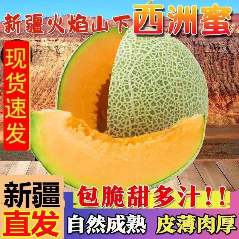 【新疆直发】正宗西州蜜25号哈密瓜吐鲁番火焰山产地当季新鲜水果