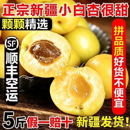 【新疆直发】正宗新疆轮台小白杏库车当季新鲜水果甜杏子胜小红杏