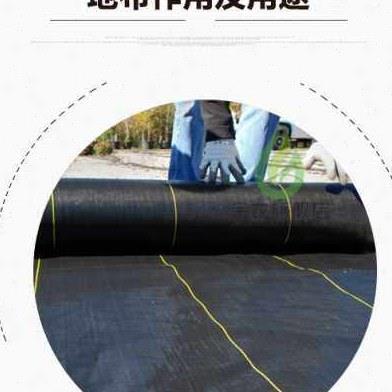 金农抗老化防草布园艺地布除草防草盖草布土工布除草垫布抑草地膜