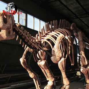 博物馆恐龙古生物化石扶绥龙禽龙骨架骨骼大型逼真玻璃钢模型标本