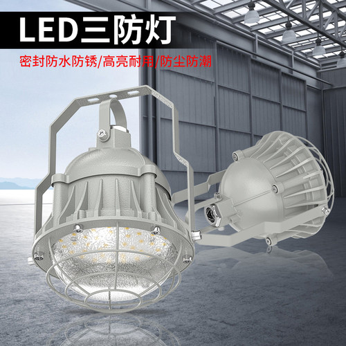 LED防爆灯粮食仓库化工厂房照明灯圆形三防吸顶灯天棚仓库灯