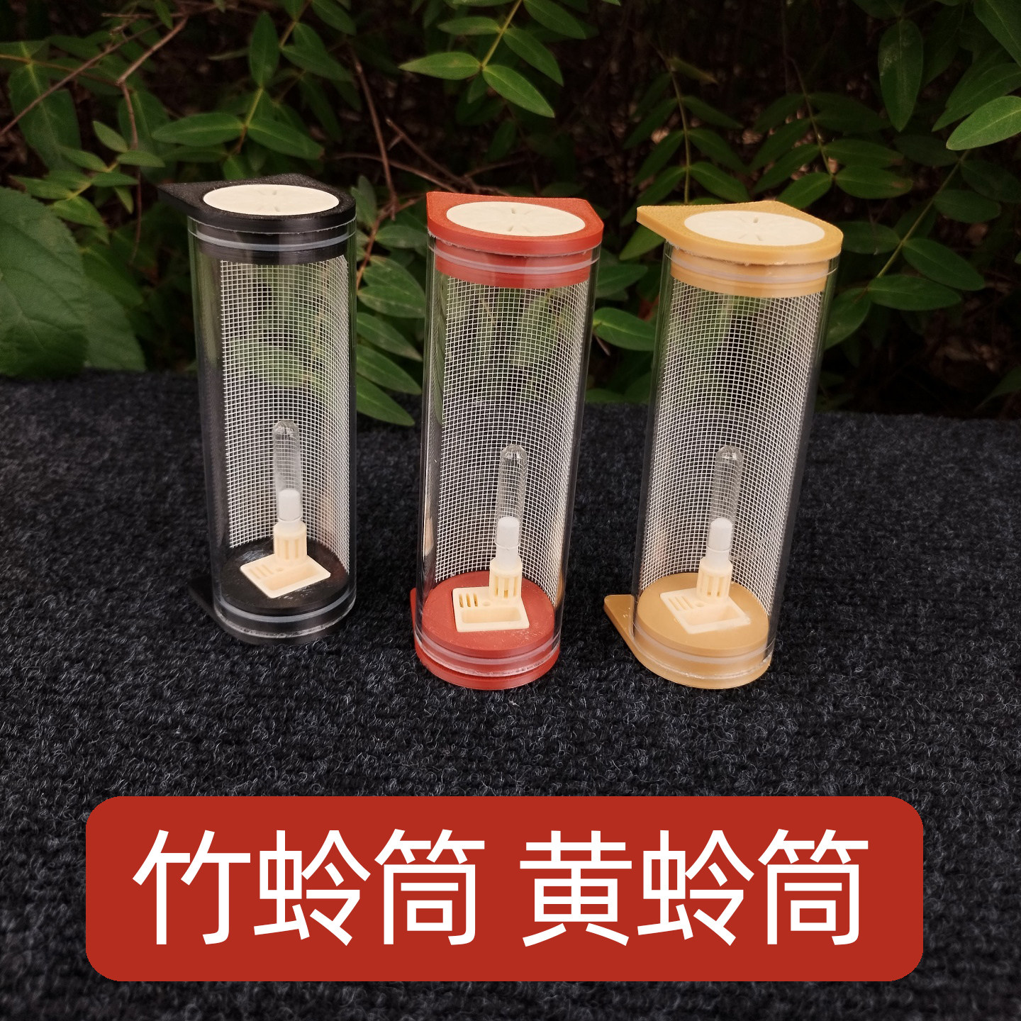 透明亚克力竹蛉筒磁吸食槽黄蛉筒
