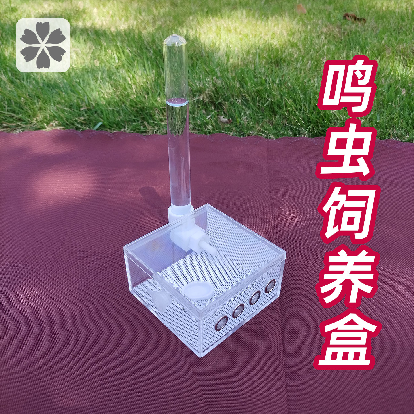 新款高透明亚克力懒人鸣虫盒黄蛉盒竹蛉罐黄蛉筒仙子鸣虫用具