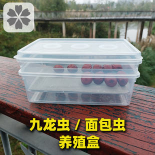 九龙虫饲养盒洋虫面包虫透明养殖盒幼虫分离繁殖过滤粪便爬宠窝