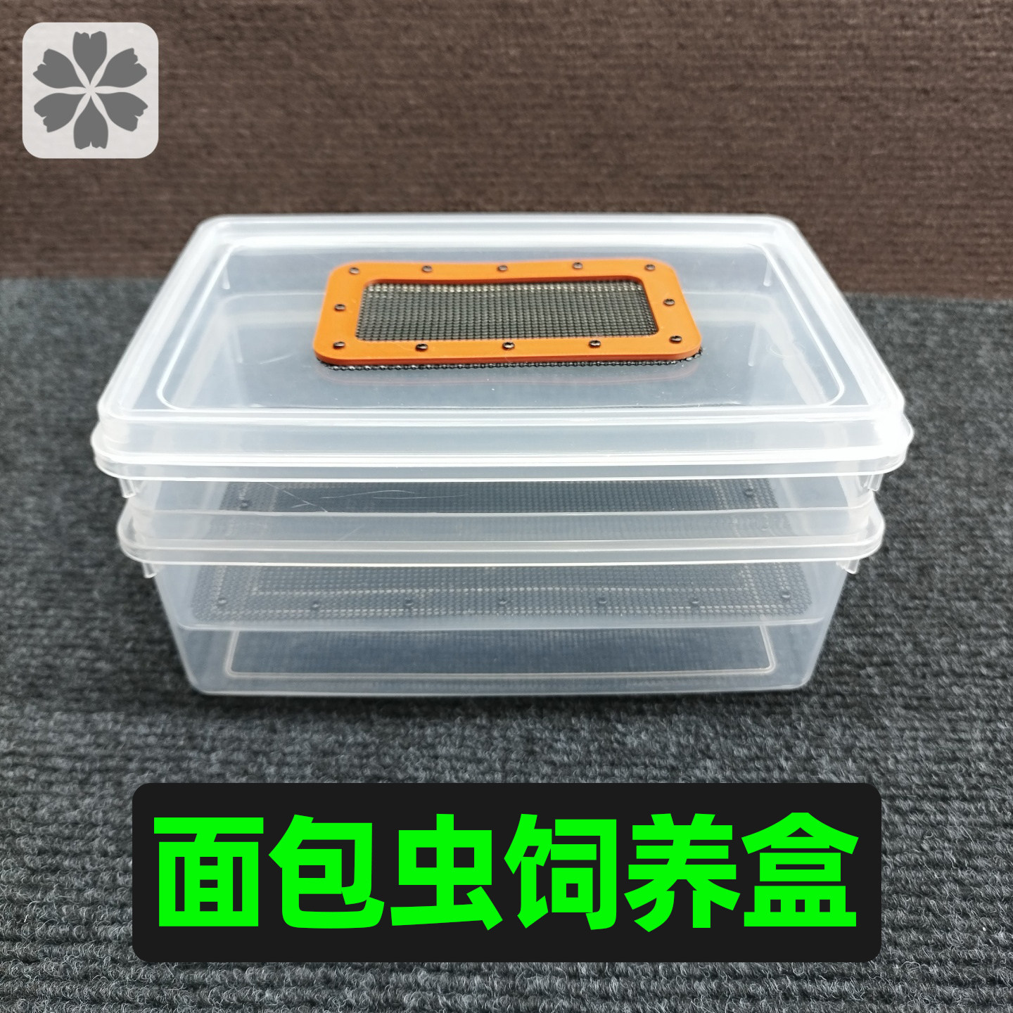 双层透明面包虫饲养箱滤屎防臭