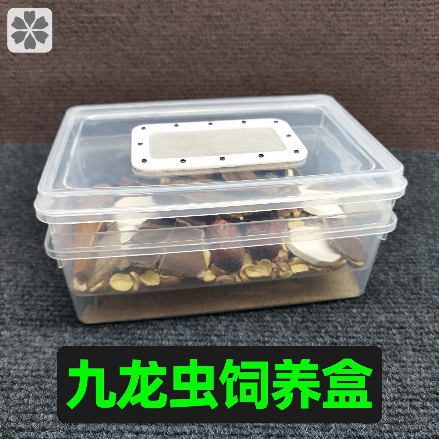 九龙虫饲养盒双层过滤粪便养殖盒