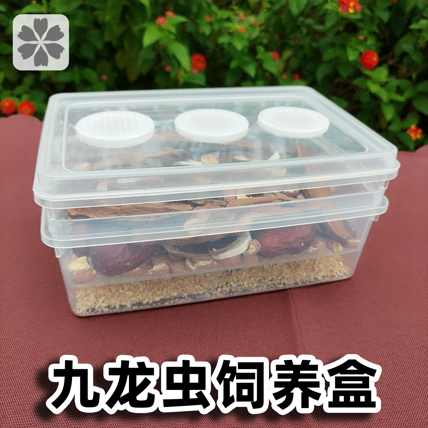 洋虫幼虫繁殖盒九龙虫饲养盒