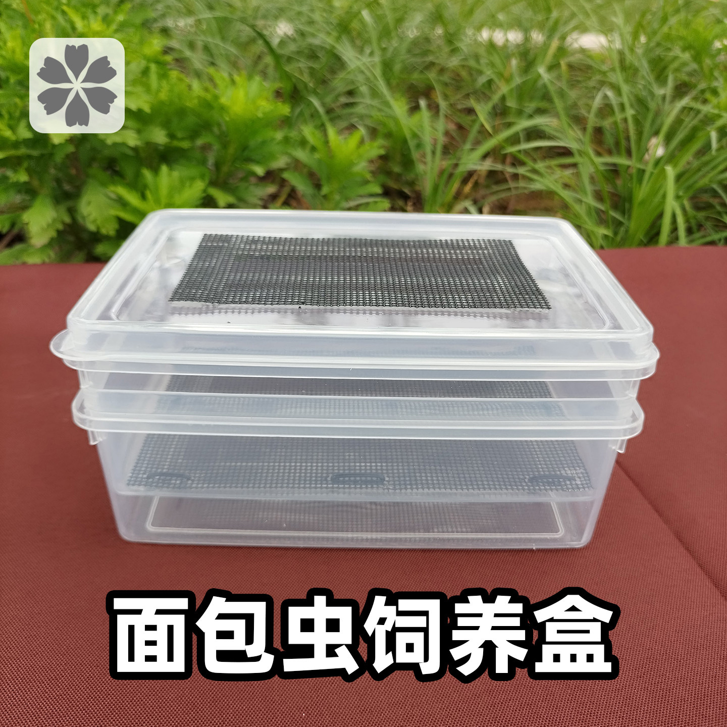 面包虫养殖盆大麦虫饲养箱面包虫繁殖盒分离盒容器养殖箱
