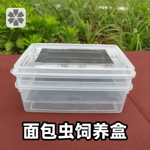 面包虫养殖盆大麦虫饲养箱面包虫繁殖盒分离盒容器养殖箱