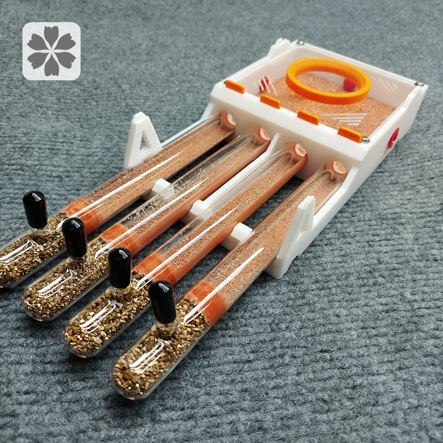 18口径具支铺地试管巢蚂蚁巢大容量新后巢宠物蚁巢高保湿石膏巢