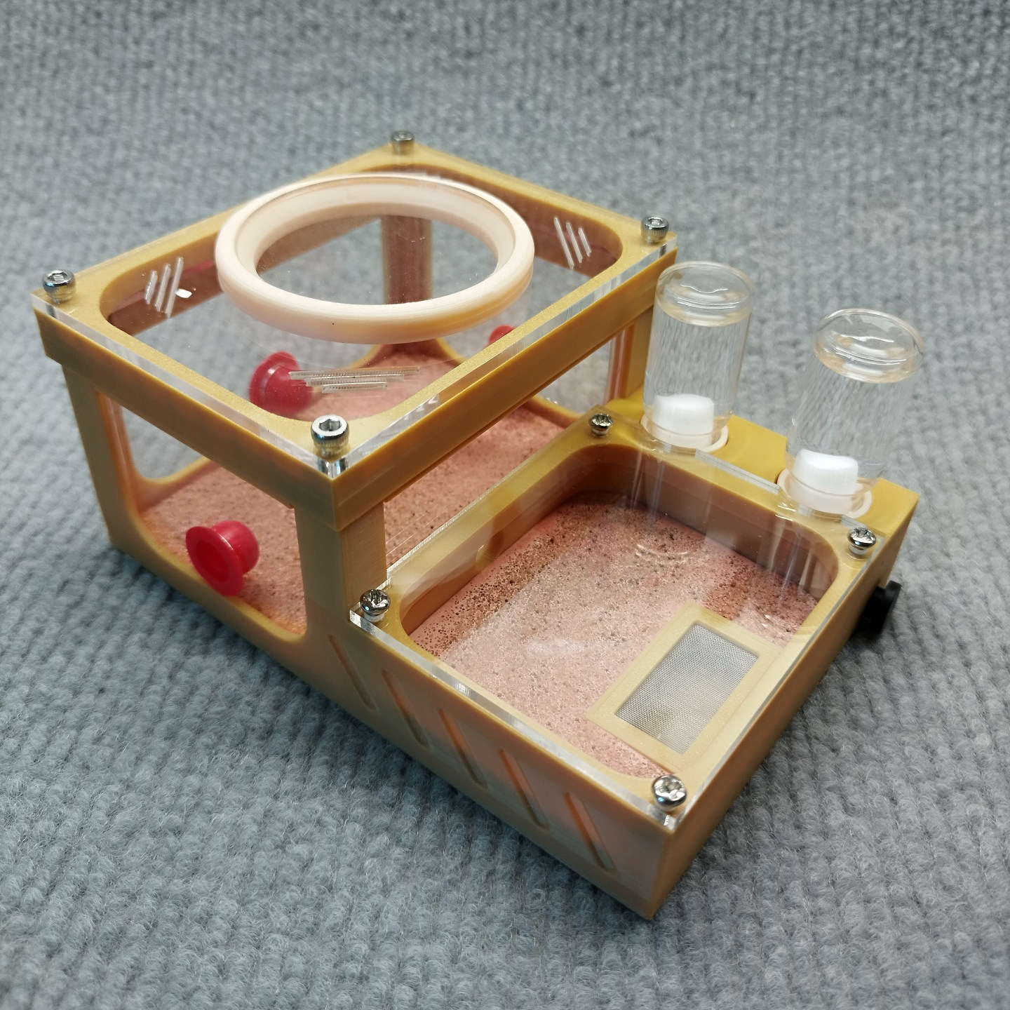 石膏铺地蚂蚁巢3D打印一体巢
