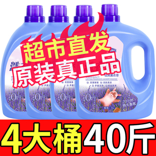 正品 40斤高浓洗衣液薰衣草持久留香整箱批发家用实惠装 官方旗舰店