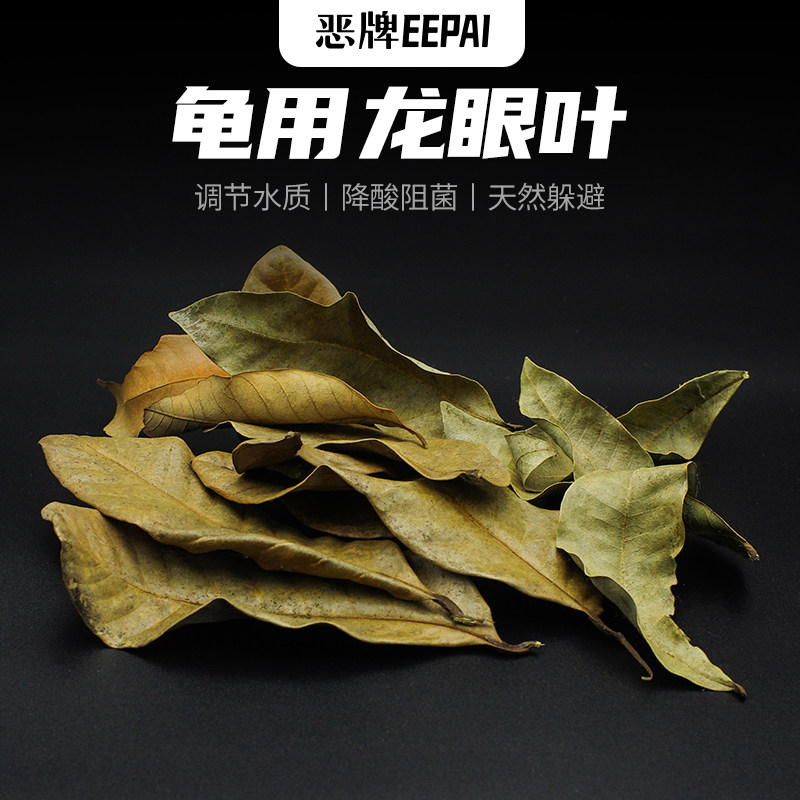 龙眼叶养龟龟缸躲避叶免煮新鲜图片