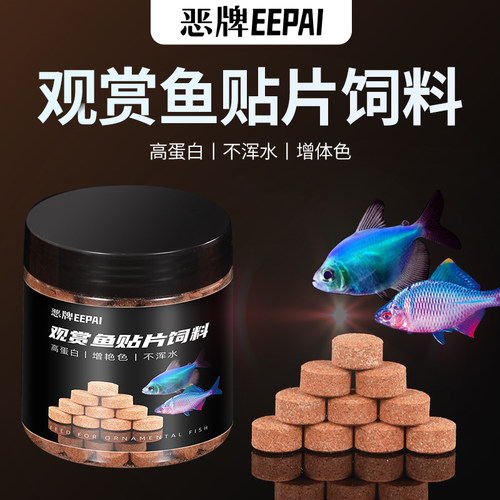 小鱼抢着吃52%粗蛋白贴片饲料