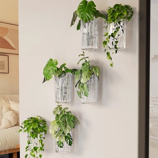 水培植物壁挂花盆花器透明绿萝鲜花架绿植墙上花瓶装 饰挂件置物架