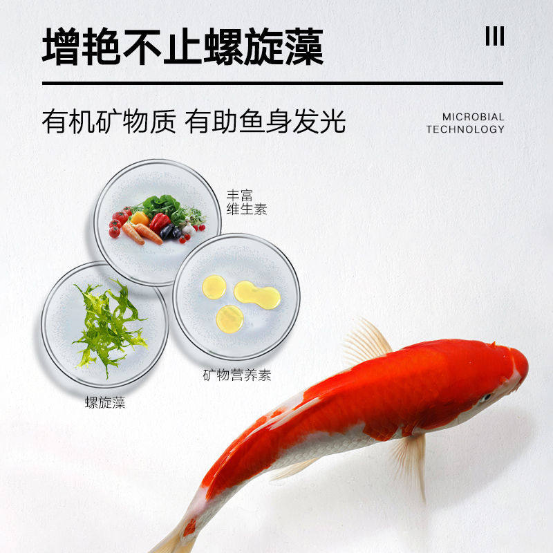 锦鲤金鱼专用鱼食色扬育成饲料鱼粮小颗粒发色不浑水螺旋藻 中智甄选
