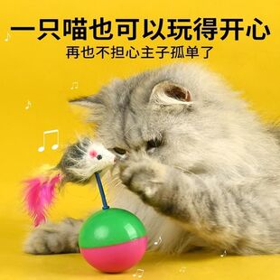 彩色球形逗猫棒羽毛装饰解闷玩具猫咪互动宠物用品全阶段球形装饰