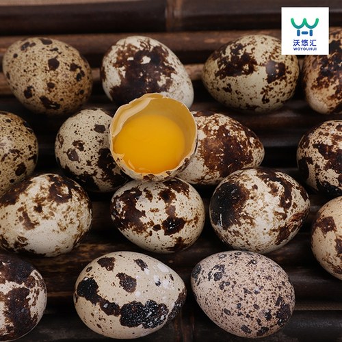 五谷杂粮喂养无添加 破损不新鲜包