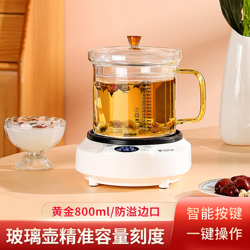 2024新款养生壶家用多功能煮茶器办公室花茶全玻璃煮粥分体式宿舍