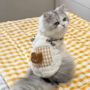 猫咪衣服防掉毛可爱冬天金渐层布偶猫英短矮脚加绒保暖猫猫秋冬装
