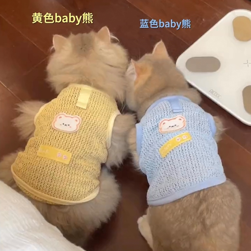 猫咪夏天衣服薄款透气可牵引2024新款布偶猫金渐层矮脚猫网纱背心
