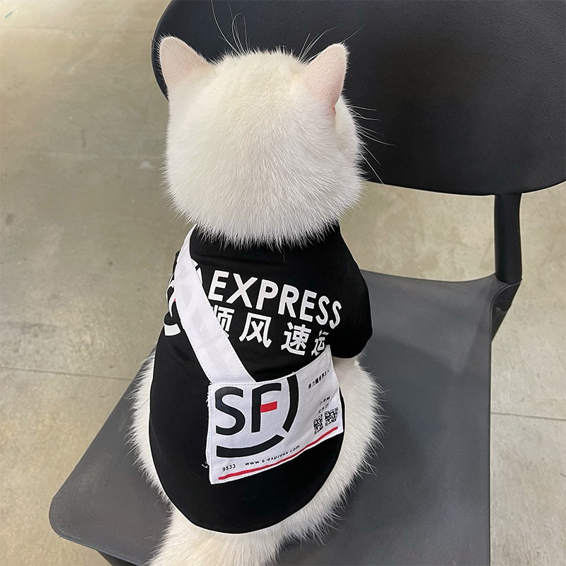 网红猫咪衣服泰迪狗狗小型犬