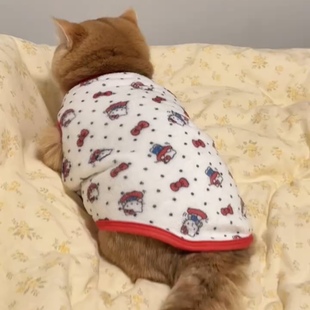 猫咪衣服防掉毛可爱秋冬天金渐层布偶猫英短蓝猫宠物狗狗猫猫绒衣