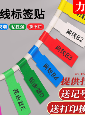 彩色网线标签贴纸光纤数据线打印机索引贴机房电源线路可粘贴充电线分类记号贴防水弱电手写标识牌电缆标签贴