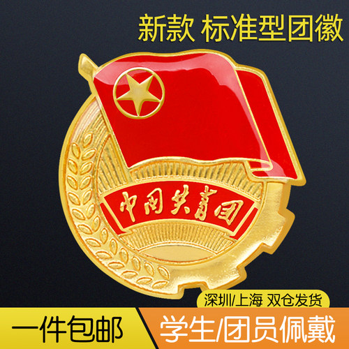 10枚正版标准型团徽安全别针磁扣