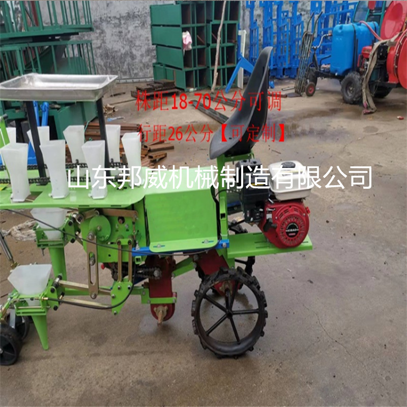 栽苗机栽种机蔬菜苗草莓辣椒茄子西红柿秧苗移栽机两行蔬菜移栽机