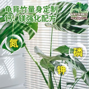 龟背竹营养液免稀释黄叶锈斑肥水培植物肥料叶面肥液体肥