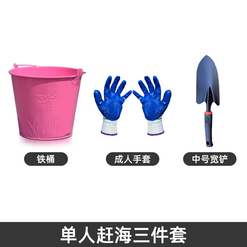 赶海神器海边沙滩耙子贝壳蛤蜊挖牡蛎螃蟹蛏子不锈钢水草工具套装