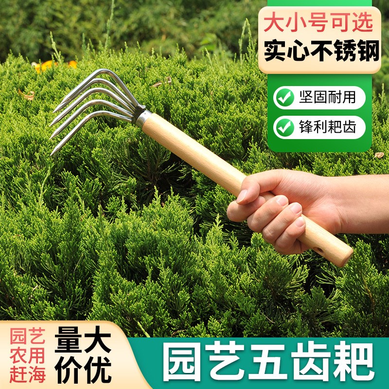 厂家直供不锈钢园艺耙子赶海神器园艺用品 花园工具 多种用途