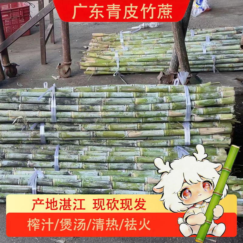 现砍青皮竹蔗切口会发红广东青皮甘蔗新鲜茅根湛江产地榨汁煲汤