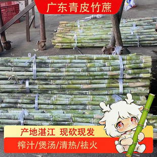 现砍青皮竹蔗切口会发红广东青皮甘蔗新鲜茅根湛江产地榨汁煲汤