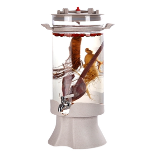 villeroyboch德国进口唯宝家用水杯水晶玻璃啤酒杯果汁杯早餐杯子