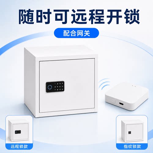 手机远程储物柜入户小型外卖柜快递箱订奶箱挂墙带锁铁皮收纳柜