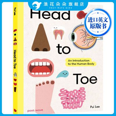 进口英文原版 Head to Toe 头顶到脚趾 人体科普绘本