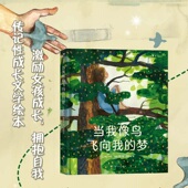 12岁青少年成长励志文学绘本 一个女孩追求梦想 坚持自我 浪花朵朵童书 当我像鸟飞向我 励志故事 梦