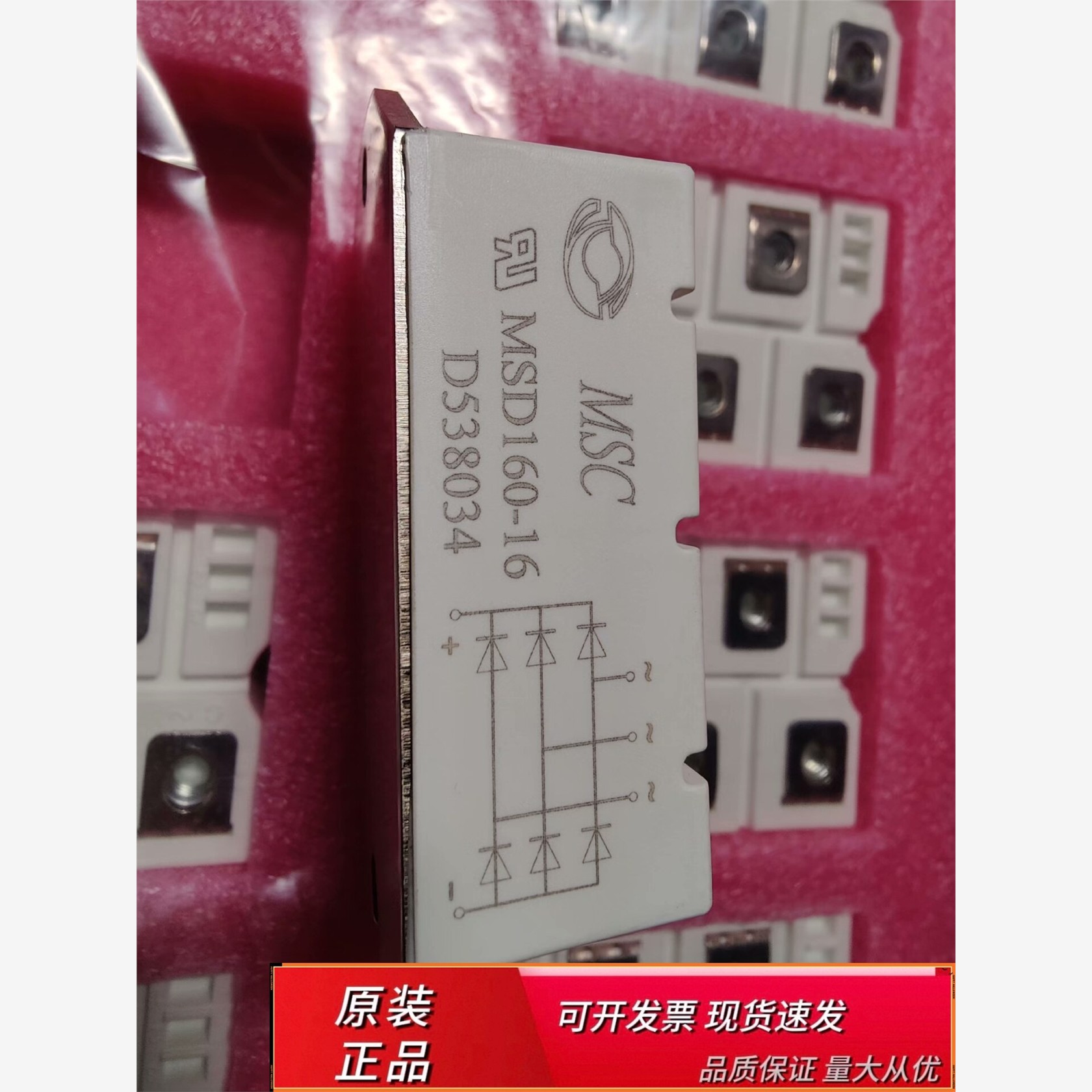 MSCD160-MSCD160-MSCD